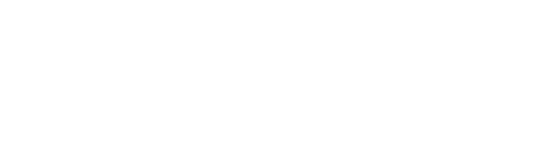 Strivon Tech